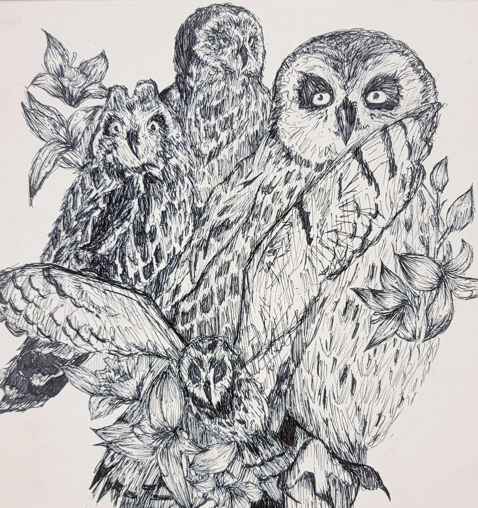 Wild Life Conservation Pen and Ink Composite Drawings