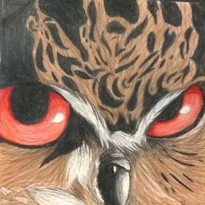Owl Drawings