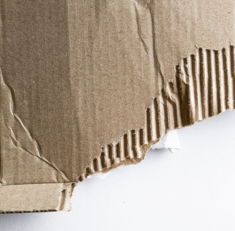 Sculpting with Cardboard Slideshow